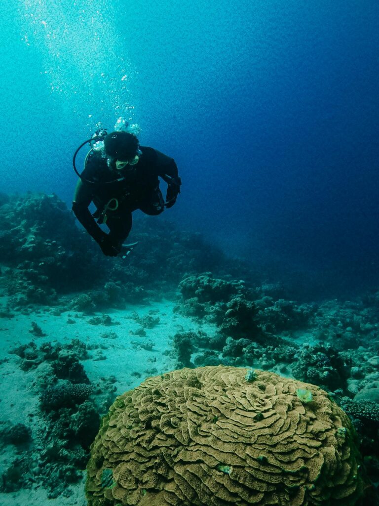 moorea plongee sous marine