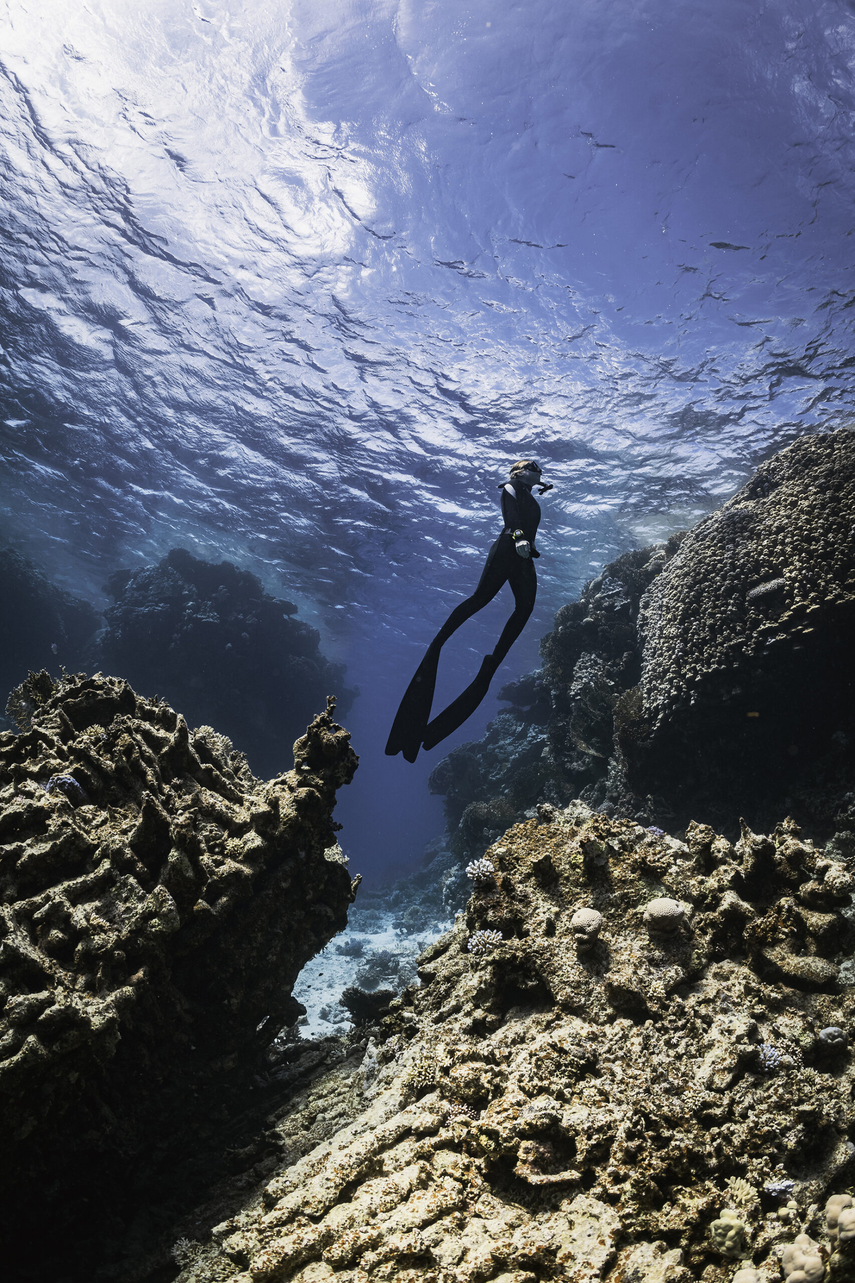 Freediver PADI